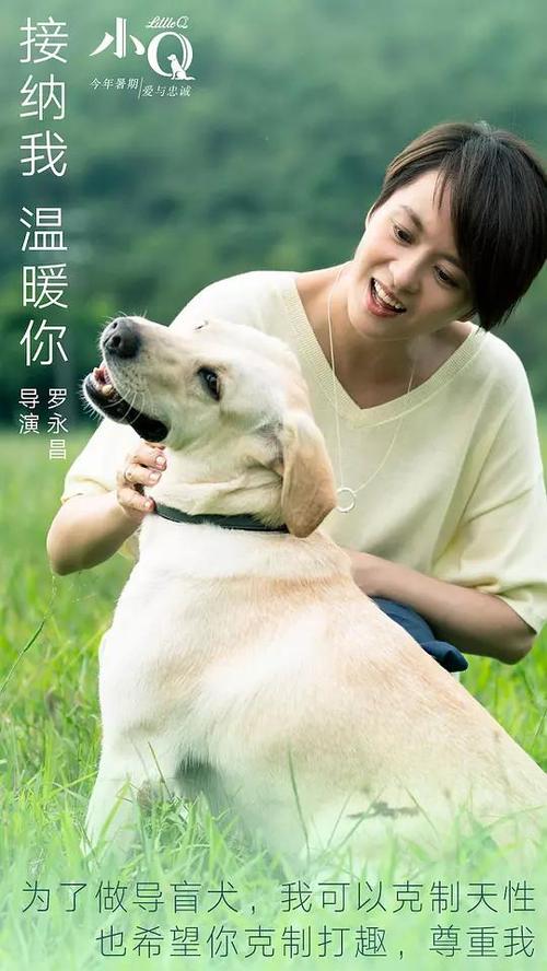 学位证书钢印照片补办